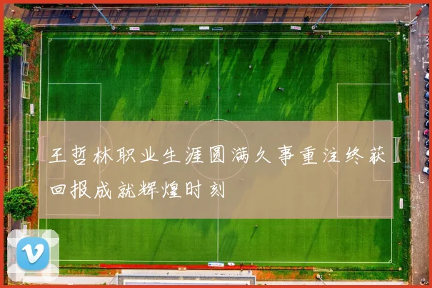 王哲林职业生涯圆满久事重注终获回报成就辉煌时刻